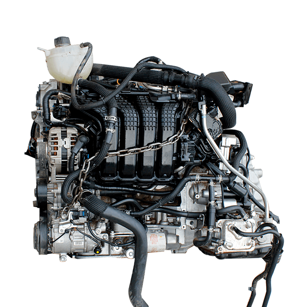 Motor